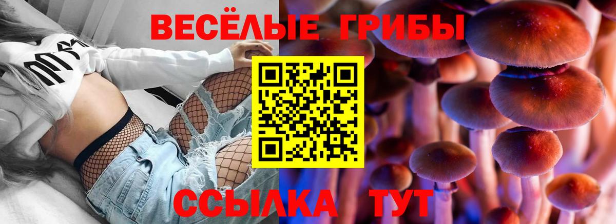 Галлюциногенные грибы мицелий  Псилоцибиновые грибы мицелий  Иваново  Вход с VPN 